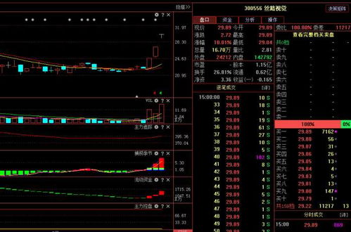 絲路視覺（300556） 主力悄然布局，計算機軟硬件業(yè)務(wù)驅(qū)動下未來走勢深度解析