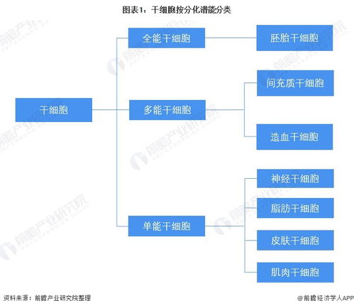 預見2022 中國干細胞醫療產業全景圖譜——產業鏈、競爭格局與前景展望